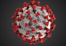 Contribution du SJA au projet de loi prorogeant l'état d'urgence sanitaire